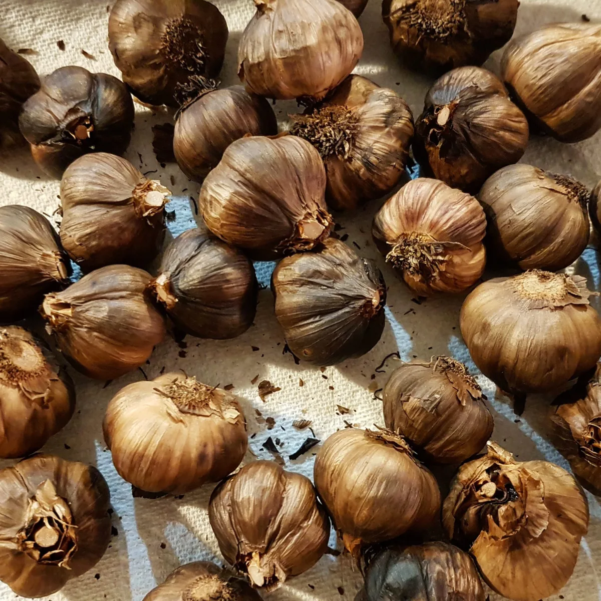 Benefits of Black Garlic